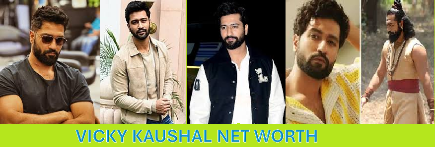 Vicky Kaushal Net Worth